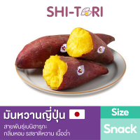 ori | มันหวานญี่ปุ่นเบนิฮารุกะ ครบไซซ์ ( S M L )