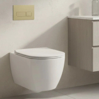 Butang buih tandas (tank flush) untuk Geberit 01/20/30/50, UP300/UP320