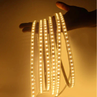 220V outdoor waterproof no drive power supply, warm yellow monochrome light strip, 5-50m villa balco