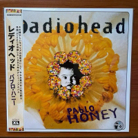 แผ่นเสียง Radiohead - Pablo Honey , Vinyl, LP, Album, Reissue, Japan version มือหนึ่ง ซีล
