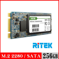 RITEK錸德 R801 256GB M2 2280/SATA-III SSD固態硬碟