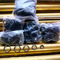 sil oring untuk penahan pipa gejluk dan pcp isi 50 biji berkualitas untuk pipa od 19