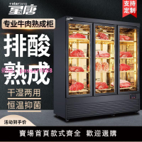 干式牛肉柜熟成柜高端商用恒溫排酸柜西廚恒濕牛排專用冷凍保溫柜