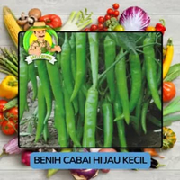 Benih Cabai Merah Benih Bibit Murah Berkualitas Hijau Kecil