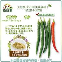 【綠藝家】大包裝G55.紅美辣椒種子1克(約160顆)