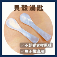 《AJ歐美食鋪》魚子醬珠貝匙 貝殼湯匙 72mm 天然珠貝製成 Pearl Spoon 儀式感 面膜匙