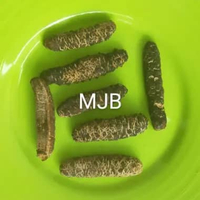 teripang duri/gamat duri kupas/haisom/100gram