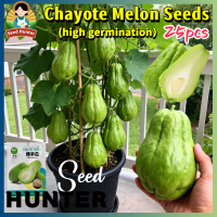 100% Original Chayote Seeds for Planting Vegetables Plants (High Germination 25 Seed) High Yield Org