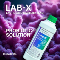 Probiotic Solution Lactic Acid Bacteria