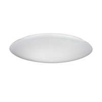 TOSHIBA LED 40W 星爍壁切調光調色吸頂燈 東芝 吸頂燈 壁切吸頂燈 110V (A Light)
