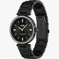 【COACH】COACH蔻馳女錶型號CH00132(黑色錶面銀錶殼深黑色精鋼錶帶款)