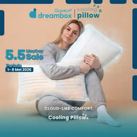 Quantum Dreambox Cooling Pillow / Bantal Dingin / Dual Comfort Memory Foam