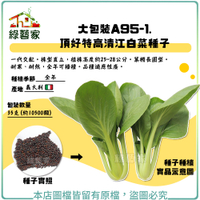 【綠藝家】大包裝A95-1.頂好特高清江白菜種子 35克(約10500顆)