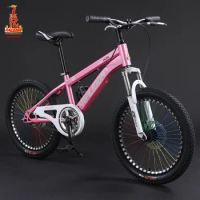 RALEIGH Youth Mountain Bike Single Speed 18inch 20inch 22inch Mountain Bicycle Disc Brake Student MTB High Carbon Steel Frame