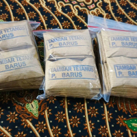 TAMBAR TITANUS BULANJAHE P. BARUS
