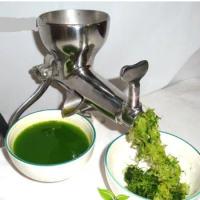 Wheat Grass Juice Machinist Hands Shaking Fruit and Vegetable Juice Squeezed Ginger Machine Stainless Steel Fruit Juice Machine