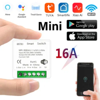 Mini Wifi Smart Switch 2 Way Control Tuya 16A DIY Light Switches Alexa Yandex Alice Smart Google Home APP Voice Control