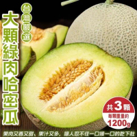 【果之蔬】台灣嚴選大顆綠肉哈密瓜(約1200g/顆)x3顆