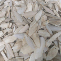 Asinan Tulang Sotong Patahan/Rijekan 250gr