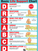 CMC8008 Life Support Chart (A2 Size, 420x594mm) Step of CPR, DRSABC, Save Life, Emergency, No Respon