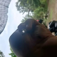 pipa kuningan / laras kuningan od 8 dan od 9 id 4,5mm alur 12 od8 = 60cm