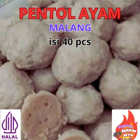 PENTOL AYAM ISI 40 PCS bakso frozen Instan