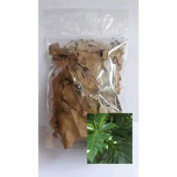 daun sukun kering herbal daun sukung kering