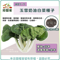 【綠藝家】A81-1.玉雪奶油白菜種子1.5克(約900顆) 牛奶白菜