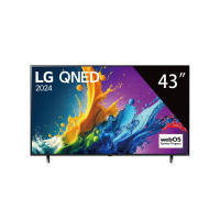 【LG 樂金】2024 QNED AI 4K 量子奈米 物聯網 智慧 顯示器 80系列 43吋 / 台 43QNED80TTA(不含安裝)