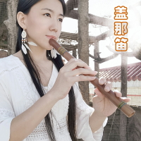 楚吟 蓋那笛最后的莫西干人老鷹之歌