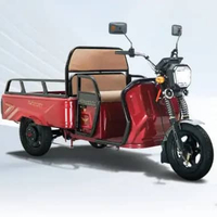 Sepeda Listrik Roda 3 Niaga SunRace Terra – Power Motor 1000W Battery SLA 60V 25Ah Garansi Resmi & S