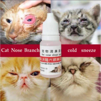Cat nose drops eye drops dogs eye drops eye washes cat nasal branches cold sneezing yellow nose conjunctivitis