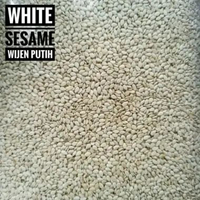 WIJEN HITAM & WIJEN PUTIH - MENTAH 500GR | Sesame Seed Raw WIJEN PUTIH 500gr