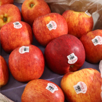 【WANG 蔬果】紐西蘭envy愛妃蘋果15-18顆(5kg/箱)
