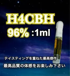 h4cbhの価格比較なら-2025年10月 | BigGo日本
