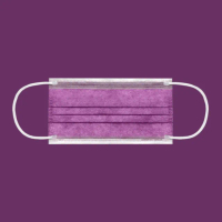【CHACER 佳和】成人醫用口罩-胭脂紫(50片 / 台灣製+雙鋼印)