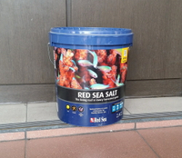 【西高地水族坊】以色列Red Sea 紅海增色鹽22kg