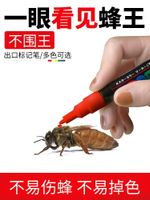 蜂王記號筆速干出口型不傷蜂蜂王標記不易掉色做標記用養蜜蜂工具