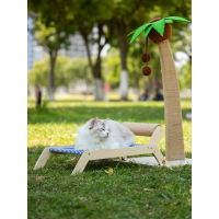 貓抓板 椰子樹爬架抓柱小戶型不占地咪玩具樹架抓板窩一體