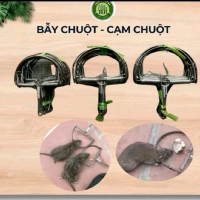 Kẹp Cạm Chuột Bán Nguyệt size To 14cm cực mạnh và nhạy , thép chống gỉ