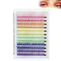 3D Colorful Segmented Lashes 12 Clusters Natural Look Lash Extension Kit for Shopping Dating Daily Use