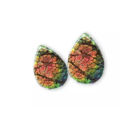 1Pc Natural Rare Canadian Ammolite Opal Cabochon / Ammolite Opal for Jewelry / Pick Randomly Ammolit