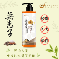 皂皂果 - 無患子洗髮精 500mL