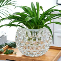 水培器皿創意玻璃花盆水養植物瓶透明花器綠蘿銅錢草花瓶圓形容器