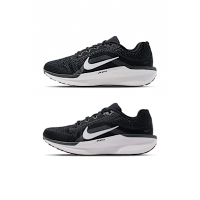 Nike Air Winflo 11 男鞋 女鞋 多款 多色 網布 舒適 運動 慢跑鞋 FJ9509-001 / FJ9510-001 (多款選)