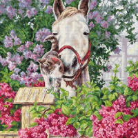 11CT/14CT DIY Embroidery Cross Stitch Kits Craft Needlework Set Canvas Cotton 22-Luca-S B7012L two small animals 39-46