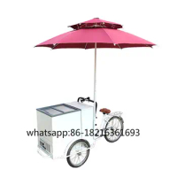 3 Wheel Electric Tricycle Ice Cream Bike Street Mobile Ice Cream Cart With Umbrella