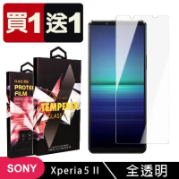 買一送一 SONY Xperia 5 II 鋼化膜非滿版高清玻璃手機保護膜