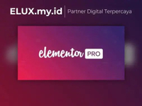 Elementor Pro + Elementor Core Unlimited Web Original Premium Lifetime - WordPress Plugin Termurah U