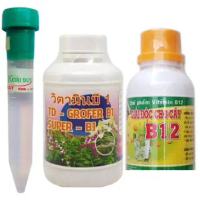 COMBO Thuốc kích mầm kích chồi Keiki duy xanh Spray ( Dạng phun ) 15ml, Phân bón vitamin b1 TD grofe